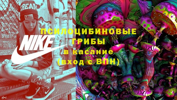 apvp Козловка
