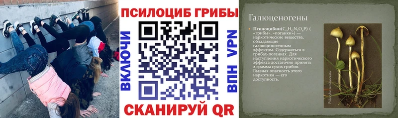 Галлюциногенные грибы Magic Shrooms  закладка  Ачинск 